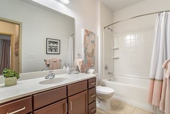 Spacious bathroom